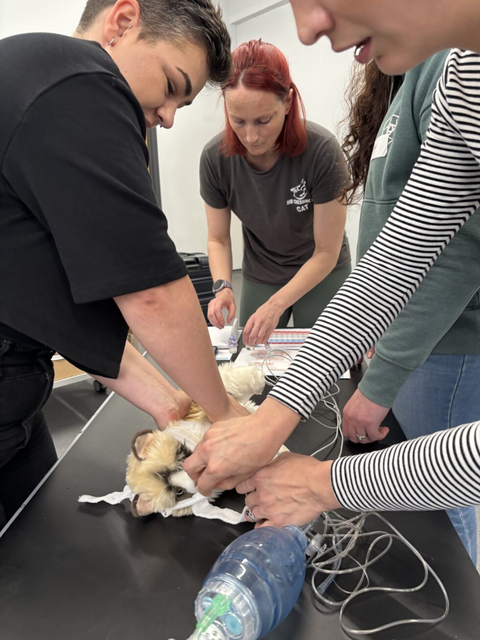 The Vintage RVN CPR Training | CPR courses, Recover Rescuer ...